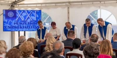 XXI. Nemzetközi Csipkekiállítás - galéria